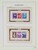 Lot 1111 (105)