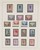Lot 1117 (11)
