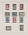 Lot 1117 (57)