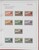 Kavel 1168 (44)