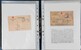 Lot 1065 (12)