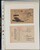 Lot 1065 (32)