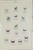 Lot 1065 (63)