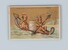 Kavel 1746 (13)