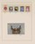 Kavel 1076 (15)