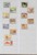 Kavel 1149 (130)