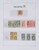 Lot 1503 (10)
