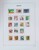 Lot 1503 (113)