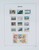 Lot 1503 (175)