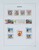 Lot 1503 (181)