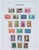 Kavel 1513 (61)