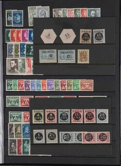 Kavel 3564