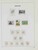 Kavel 3584 (129)