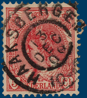 Lot 3138