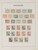 Lot 3635 (7)