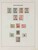 Lot 3635 (8)