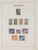 Lot 3635 (13)
