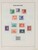 Lot 3635 (15)