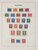 Lot 3635 (31)