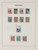 Lot 3635 (33)