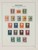 Lot 3635 (36)