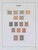 Lot 3646 (3)