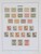 Lot 3646 (4)
