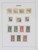 Lot 3646 (5)