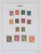 Lot 3646 (12)