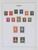 Lot 3646 (13)