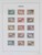 Lot 3646 (16)