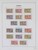 Lot 3646 (18)