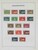 Lot 3646 (29)