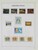 Lot 3646 (36)