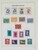 Lot 3646 (37)