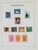 Lot 3646 (41)