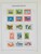 Lot 3646 (42)