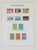 Lot 3646 (46)