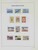 Lot 3646 (47)