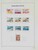 Lot 3646 (48)
