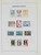 Lot 3646 (49)