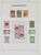 Lot 3646 (50)