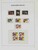 Lot 3646 (51)