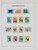 Lot 3646 (54)