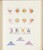 Kavel 2059 (91)