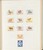 Kavel 2059 (93)