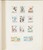 Kavel 2059 (99)