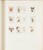 Kavel 2059 (102)