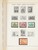Kavel 2059 (275)