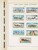Kavel 2059 (377)